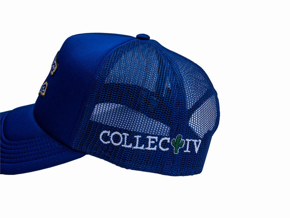 Blue Horseshoe Hat